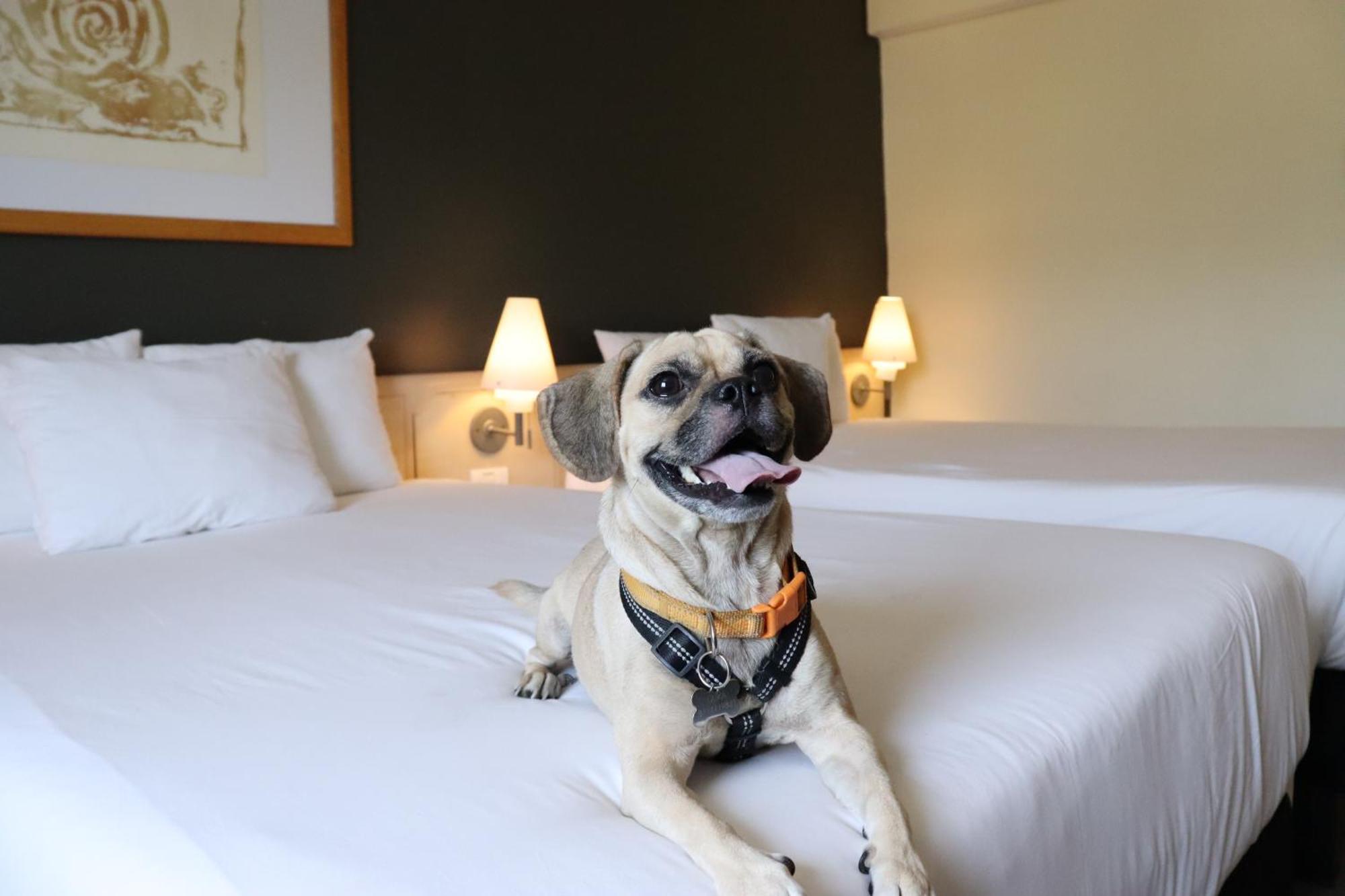 Novotel Monterrey Valle San Pedro Garza Garcia ภายนอก รูปภาพ